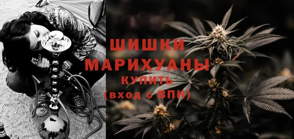 тгк Богородицк
