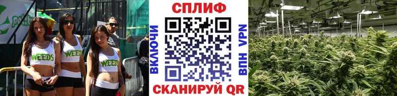 Каннабис сатива Верхнеуральск